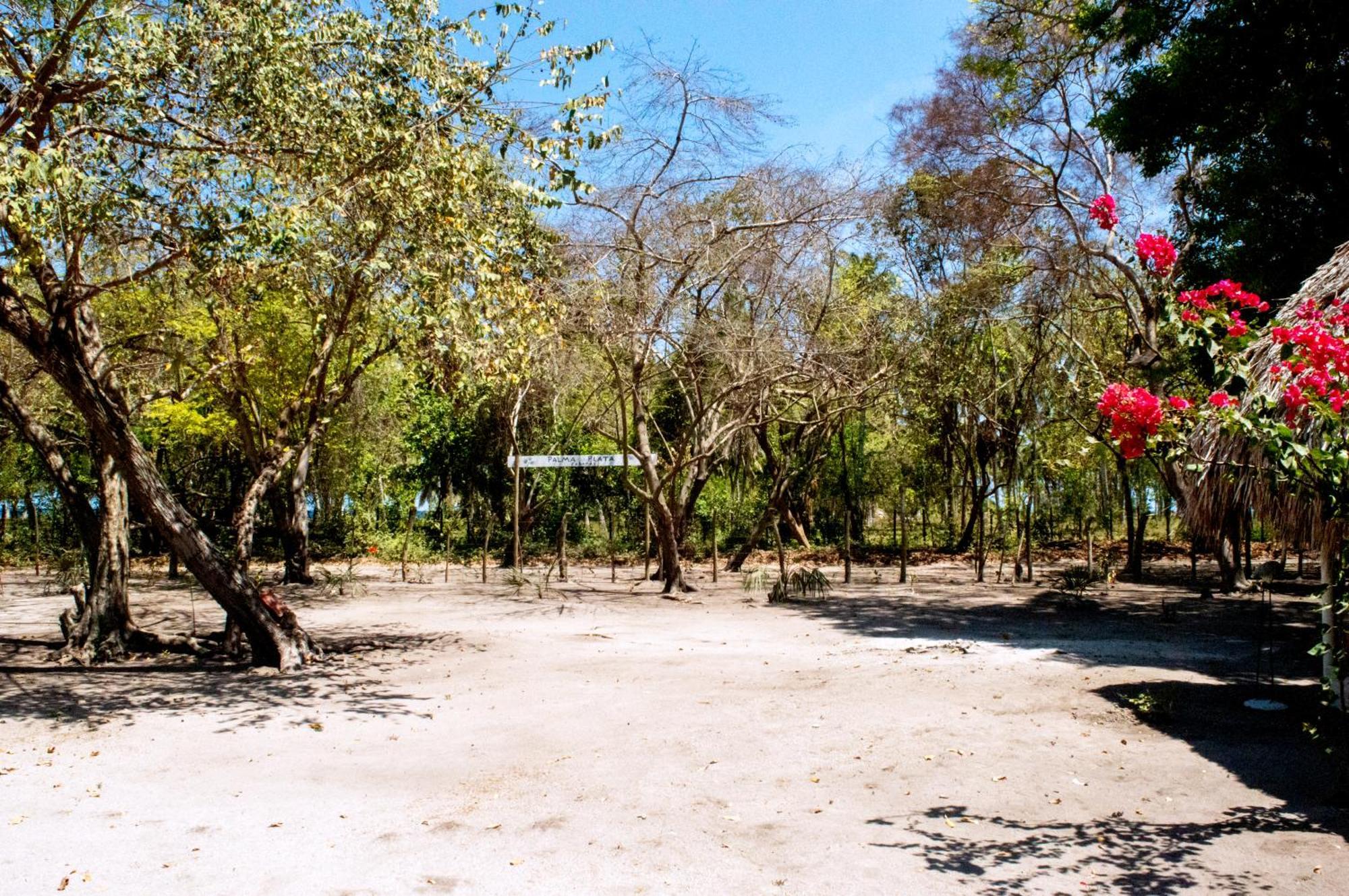 Palma Plata Islas Del Rosario Isla Grande  Ngoại thất bức ảnh